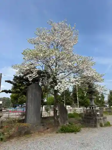 長良神社の{uncategorized: "未分類", other: "その他", undefined: "問題あり", building: "その他建物", grave: "お墓", sacred_gate: "鳥居", guardian: "狛犬", statue: "像", buddha: "仏像", history: "歴史", nature: "自然", garden: "庭園", animal: "動物", pagoda: "塔", temizu: "手水舎", mountain_gate: "山門・神門", sanctuary: "本殿・本堂", subordinate: "末社・摂社", art: "芸術", scenery: "景色", jizo: "地蔵", ema: "絵馬", goshuin: "御朱印", omikuji: "おみくじ", items: "授与品その他", amulet: "お守り", goshuincho: "御朱印帳", eats: "食事", festival: "お祭り", votive_dance: "神楽", shichigosan: "七五三参", wedding: "結婚式", experience: "体験その他", initially: "初詣", around: "周辺", anti_infection: "感染症対策"}