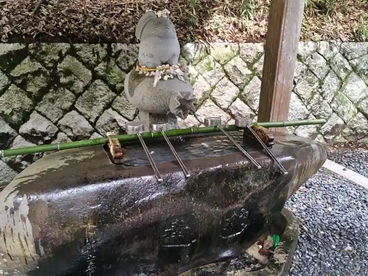 白兎神社(鳥取県)