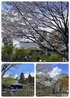 本土寺(千葉県)