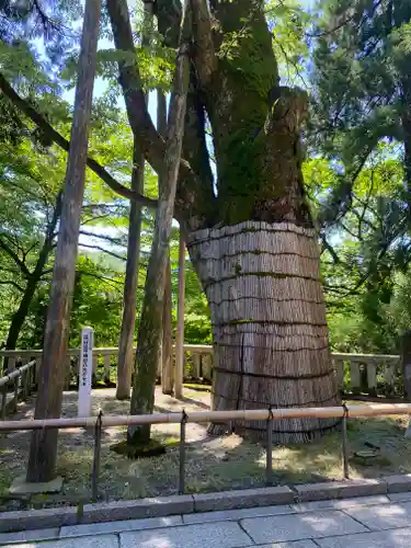 白山比咩神社(石川県)