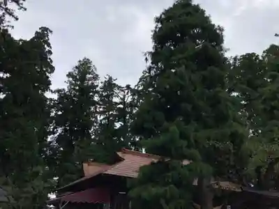 芳賀天満宮(栃木県)