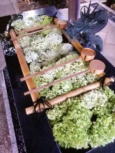 熊野神社の手水舎