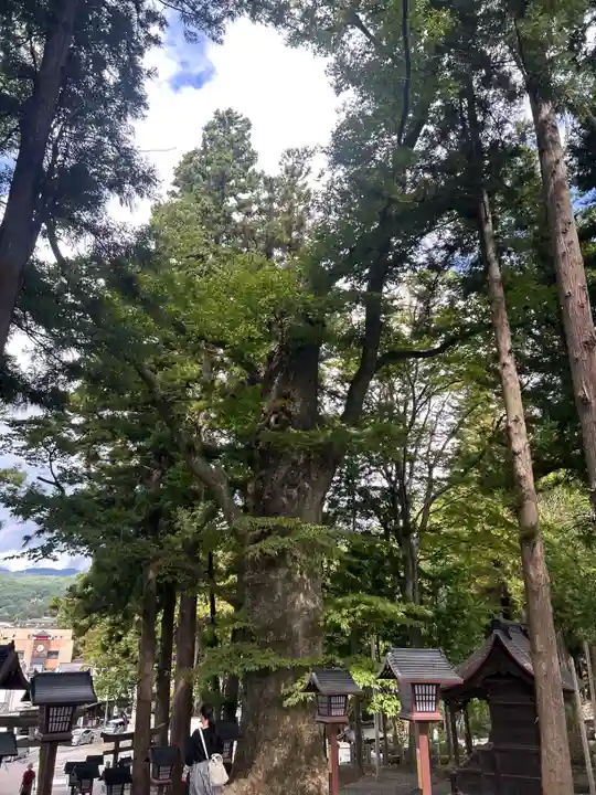 諏訪大社下社秋宮(長野県)