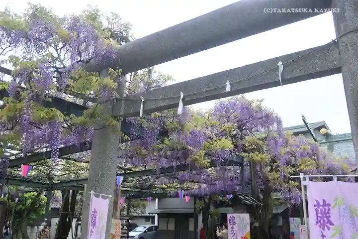 國領神社の鳥居