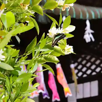 三津厳島神社(愛媛県)