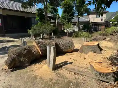 阿具麻神社の自然