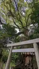 松阪神社(三重県)