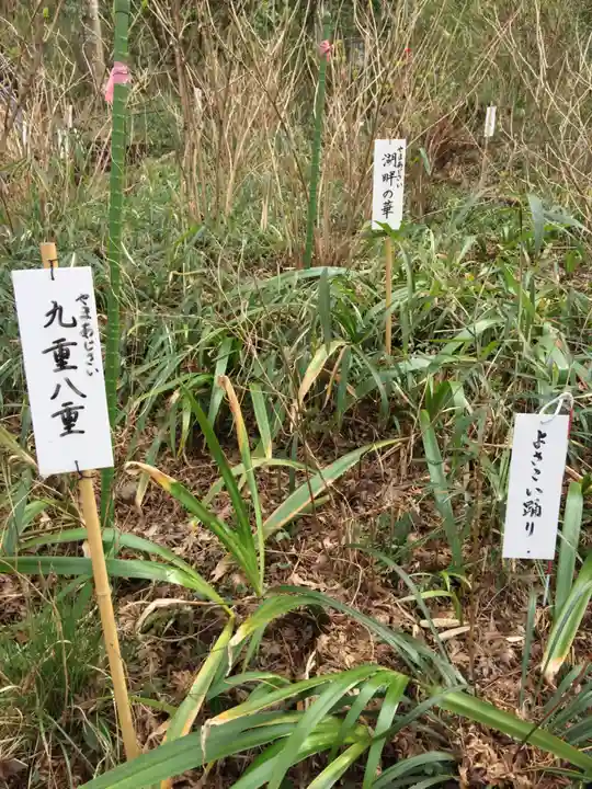 高幡不動尊 金剛寺の自然