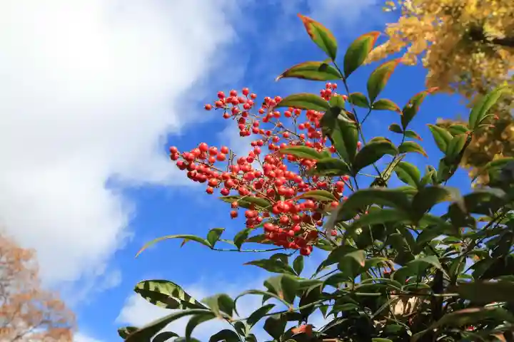 阿邪訶根神社の自然