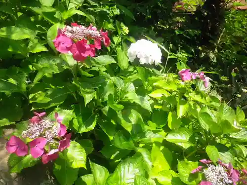 御霊神社の自然