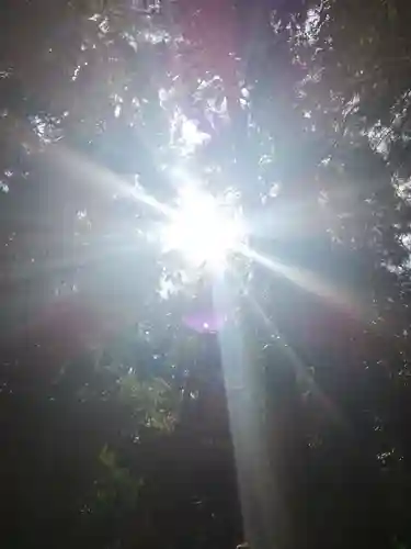 伊勢神宮内宮（皇大神宮）の自然