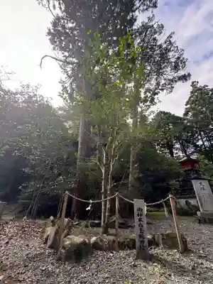 美濃國一宮　南宮大社(岐阜県)