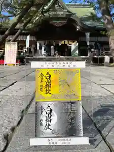 白山神社の本殿・本堂 2021年12月01日(水)〜(2021年11月25日(木) 11時35分58秒投稿)