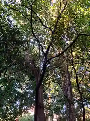 布多天神社(東京都)