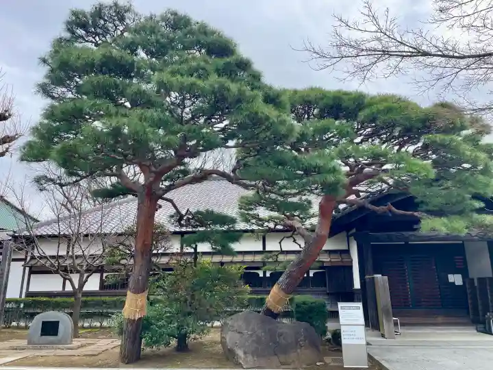 祐天寺の{uncategorized: "未分類", other: "その他", undefined: "問題あり", building: "その他建物", grave: "お墓", sacred_gate: "鳥居", guardian: "狛犬", statue: "像", buddha: "仏像", history: "歴史", nature: "自然", garden: "庭園", animal: "動物", pagoda: "塔", temizu: "手水舎", mountain_gate: "山門・神門", sanctuary: "本殿・本堂", subordinate: "末社・摂社", art: "芸術", scenery: "景色", jizo: "地蔵", ema: "絵馬", goshuin: "御朱印", omikuji: "おみくじ", items: "授与品その他", amulet: "お守り", goshuincho: "御朱印帳", eats: "食事", festival: "お祭り", votive_dance: "神楽", shichigosan: "七五三参", wedding: "結婚式", experience: "体験その他", initially: "初詣", around: "周辺", anti_infection: "感染症対策"}