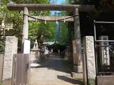 稲荷鬼王神社の鳥居