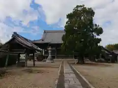 蓮念寺の建物その他