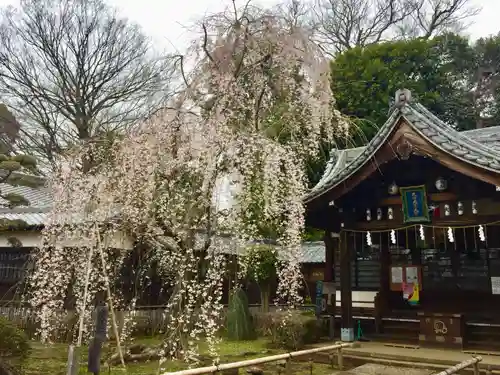 弘法寺の本殿・本堂
