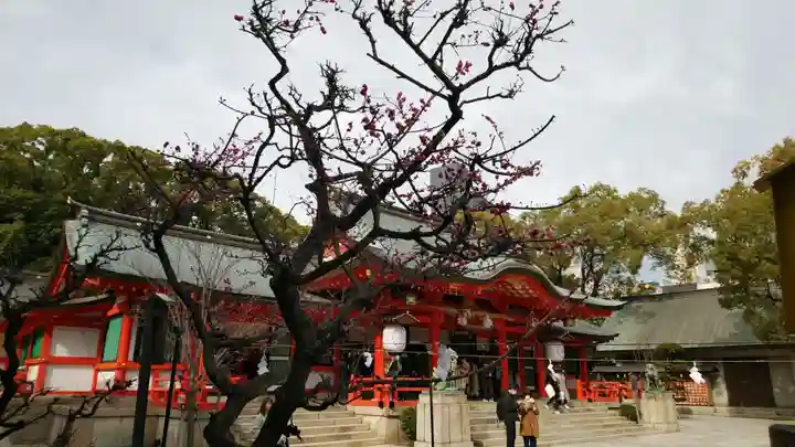 生田神社の本殿・本堂
