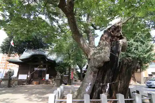 阿邪訶根神社の本殿・本堂
