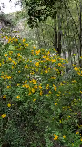 椎尾神社の自然