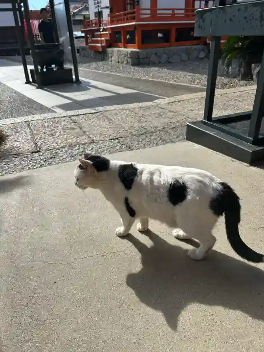 龍泉寺(愛知県)