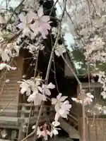 深見神社の{uncategorized: "未分類", other: "その他", undefined: "問題あり", building: "その他建物", grave: "お墓", sacred_gate: "鳥居", guardian: "狛犬", statue: "像", buddha: "仏像", history: "歴史", nature: "自然", garden: "庭園", animal: "動物", pagoda: "塔", temizu: "手水舎", mountain_gate: "山門・神門", sanctuary: "本殿・本堂", subordinate: "末社・摂社", art: "芸術", scenery: "景色", jizo: "地蔵", ema: "絵馬", goshuin: "御朱印", omikuji: "おみくじ", items: "授与品その他", amulet: "お守り", goshuincho: "御朱印帳", eats: "食事", festival: "お祭り", votive_dance: "神楽", shichigosan: "七五三参", wedding: "結婚式", experience: "体験その他", initially: "初詣", around: "周辺", anti_infection: "感染症対策"}