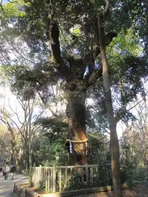 賀茂御祖神社（下鴨神社）(京都府)