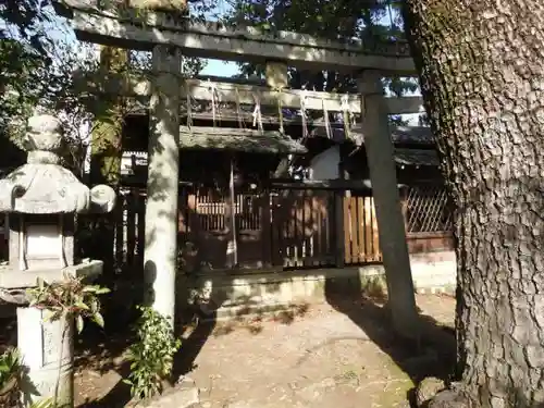 御霊神社（上御霊神社）の本殿