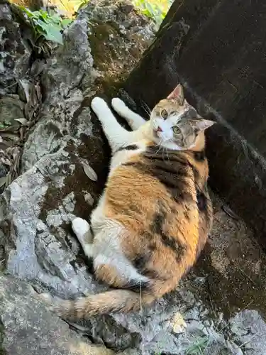 賀茂別雷神社(栃木県)