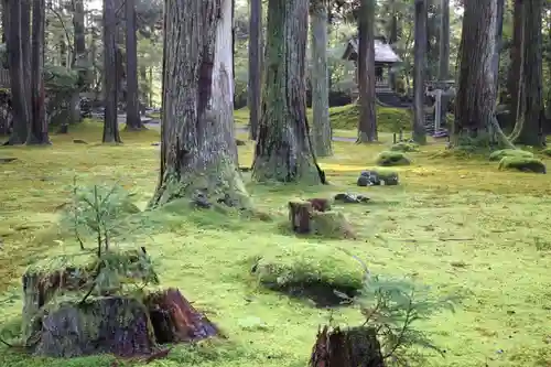 平泉寺白山神社(福井県)