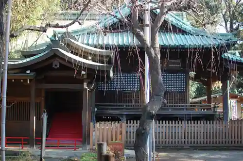 代々木八幡宮の本殿・本堂