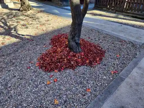 三輪神社の庭園