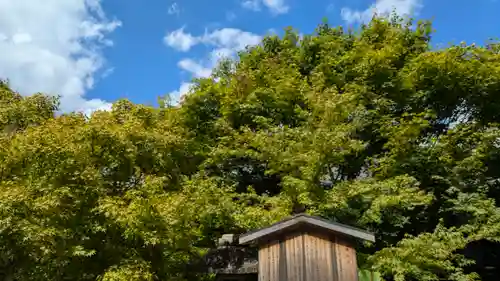 勝林寺(京都府)