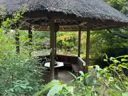 退蔵院(京都府)