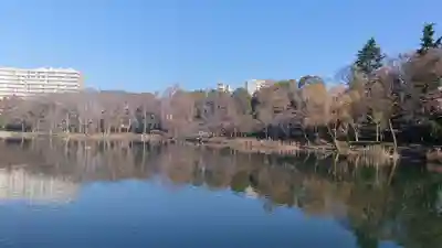 井の頭弁財天（大盛寺）の周辺