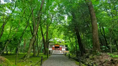 地蔵院(京都府)
