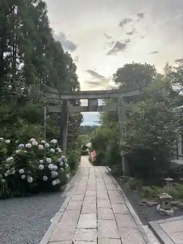 大豊神社(京都府)