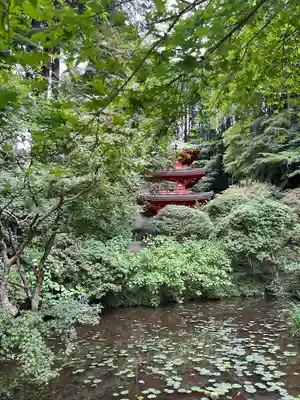 岩船寺(京都府)