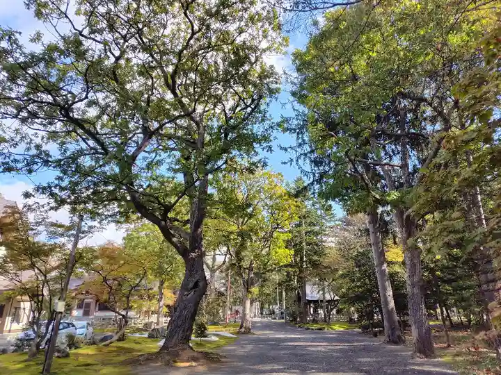 鷹栖神社(北海道)