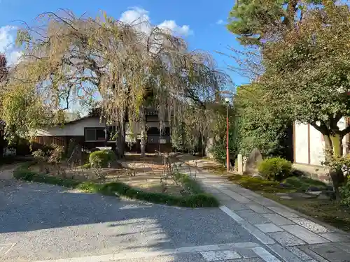 本満寺（本願満足寺）(京都府)