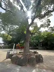 久居八幡宮（野邊野神社）(三重県)