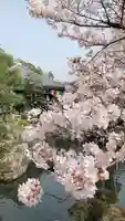 清荒神清澄寺の庭園