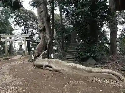 赤城神社の鳥居