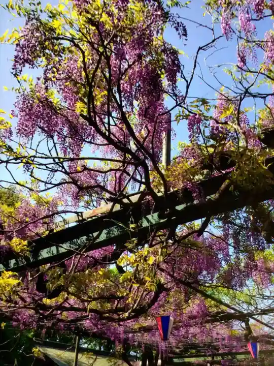 國領神社(東京都)