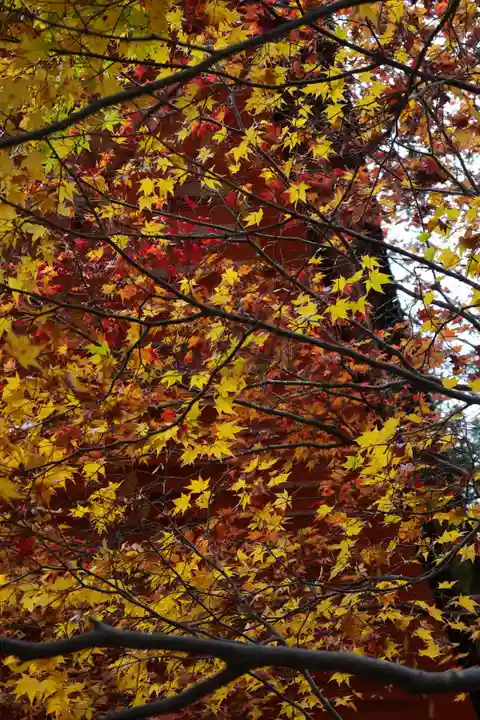 談山神社(奈良県)
