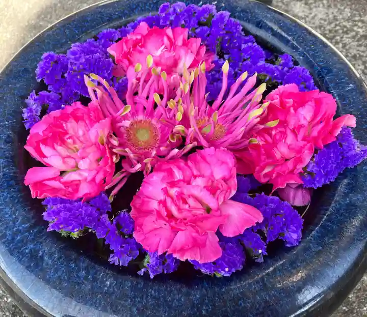 真言宗 善通寺派 薬王寺(香川県)