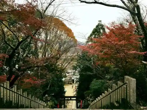 慈尊院の建物その他