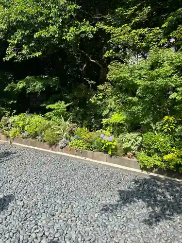 東京大神宮(東京都)