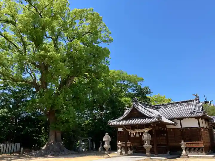 高良神社(香川県)